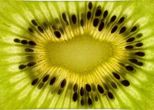 موسوعة الاعشاب