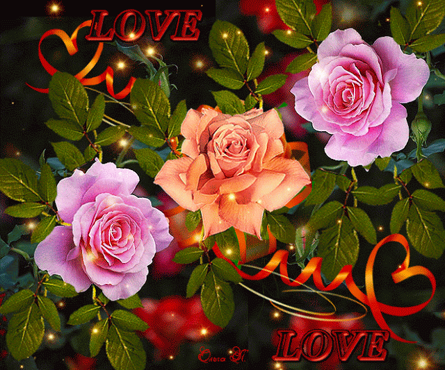 Love.gif