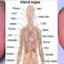 This Method Will Let You Know If There Is Something Wrong With Your Internal Organs In Less Than 1 Minute!