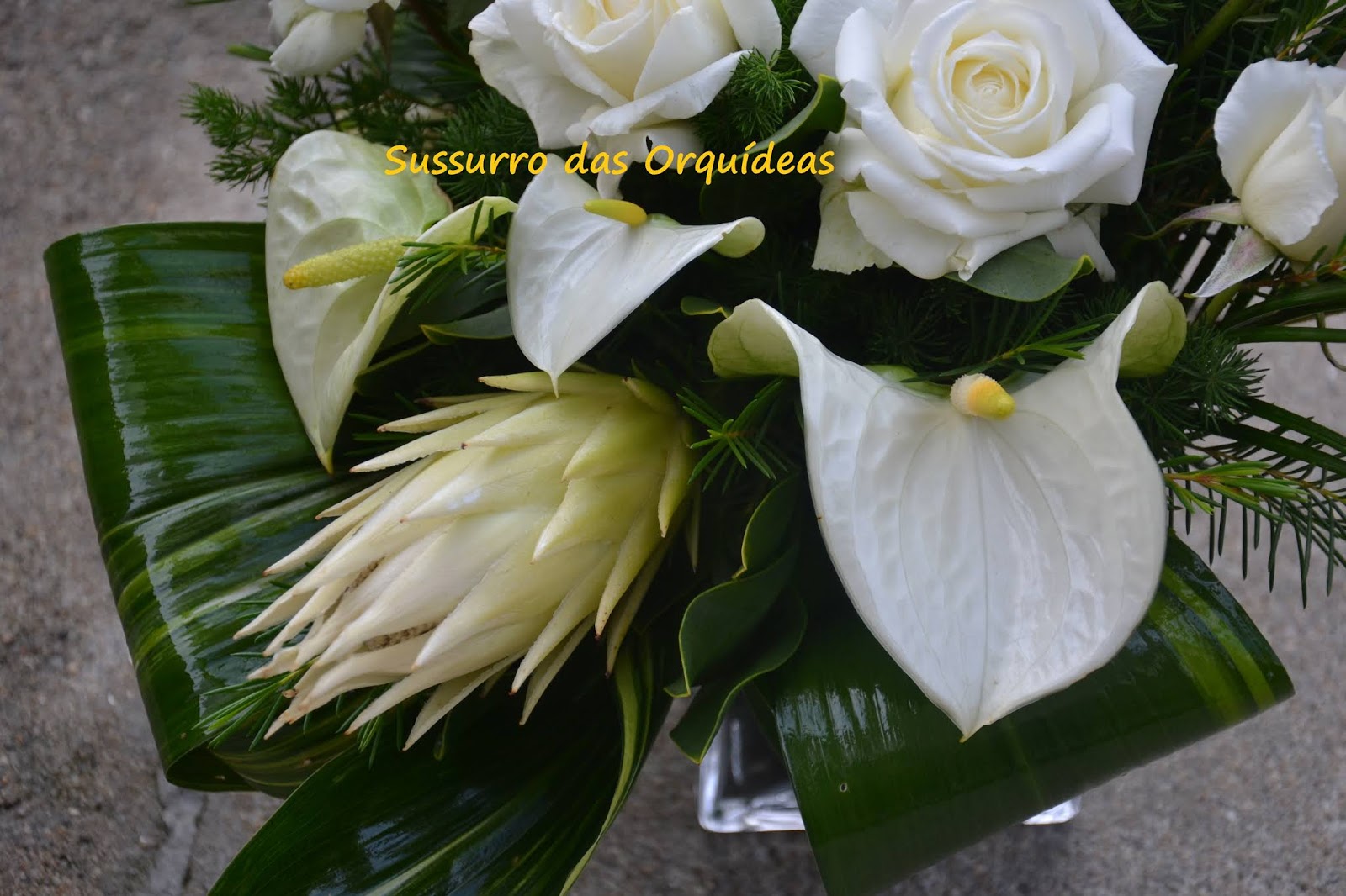Sussurro das Orquídeas: Dia de Todos os Santos: 3 Arranjos Florais