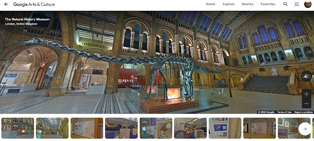 The National History Museum The National History Museum