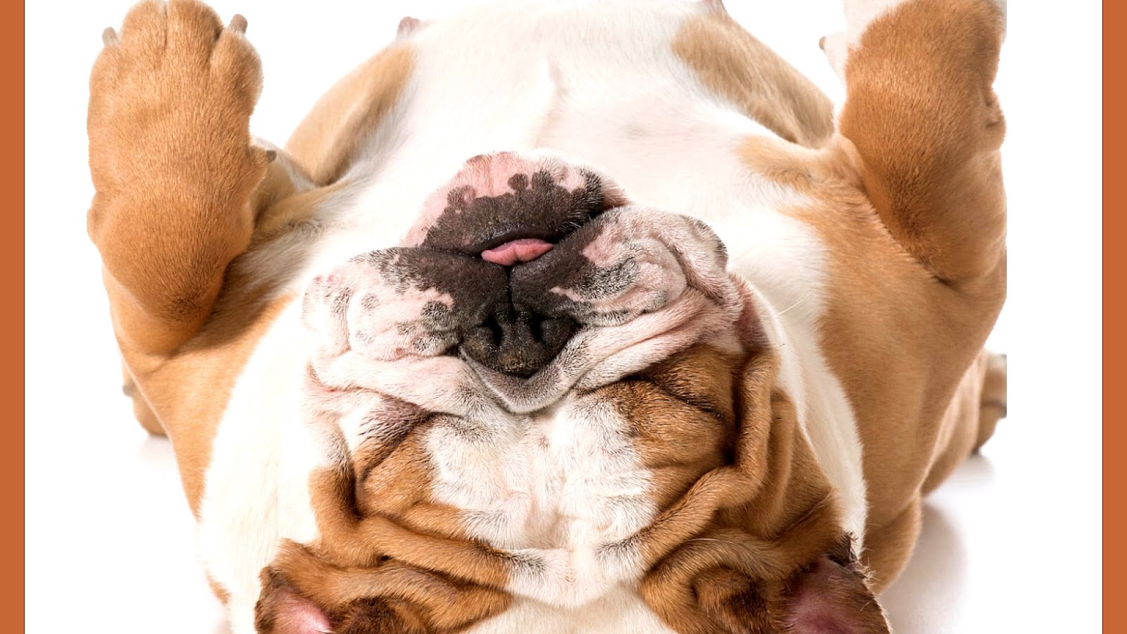 Bloating During Menopause Menopause Choices bloating-during-menopause-menopause-choices