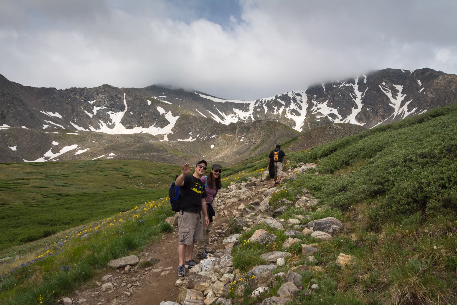A Tree Falling Grays Peak and Torreys Peak