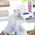Vacinação antirrábica: Prefeitura de Juazeiro divulga cronograma desta semana