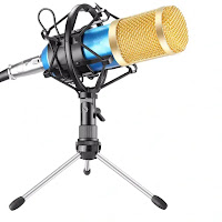 Professional Sound Recording Microphone