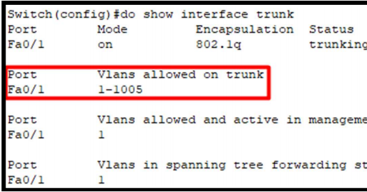 Trunk allowed. Trunk allowed