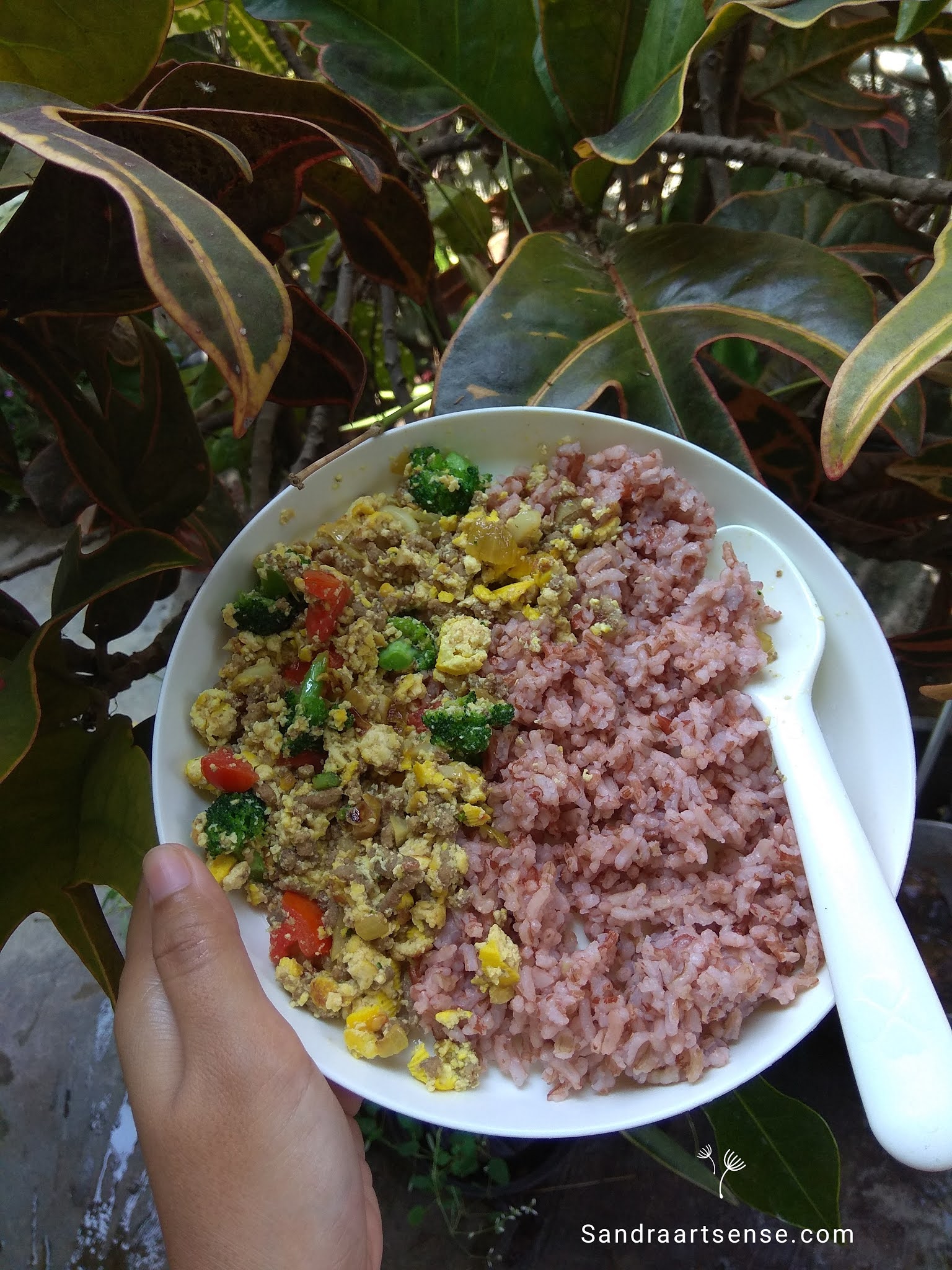 Review Mama Suka Delisaos Saus Bulgogi