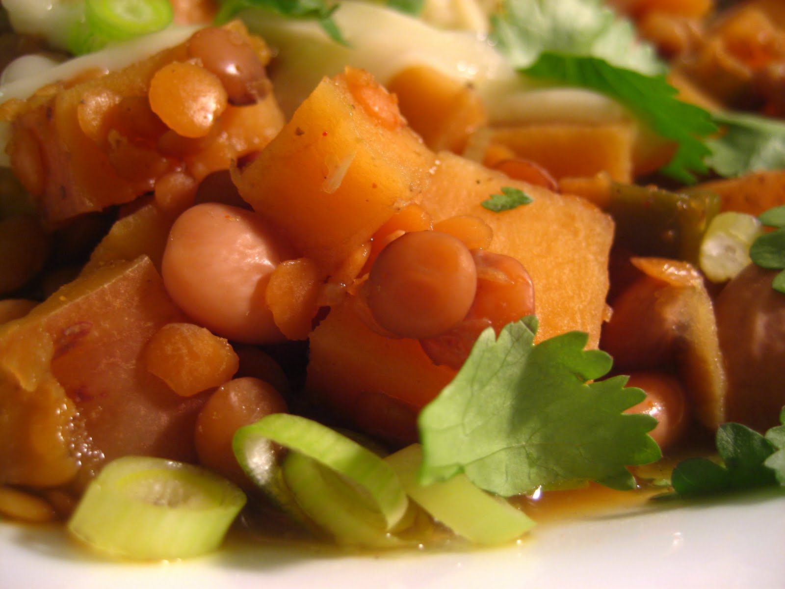 Guerilla Kitchen Crock Pot Southwestern ThreeBean Stew with Delicious