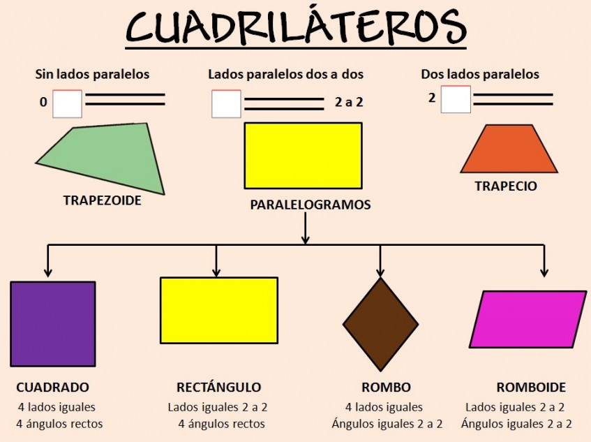O baúl de quinto de primaria Los cuadriláteros O baúl de quinto de primaria Los cuadriláteros