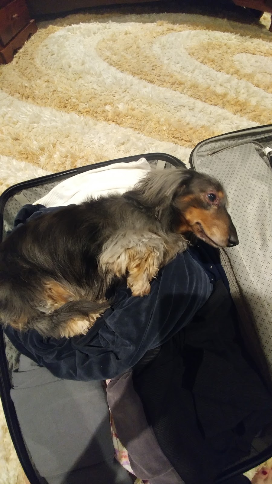 NEVER...EVER...GIVE UP HOPE What Should the Penalty Be for Leaving a