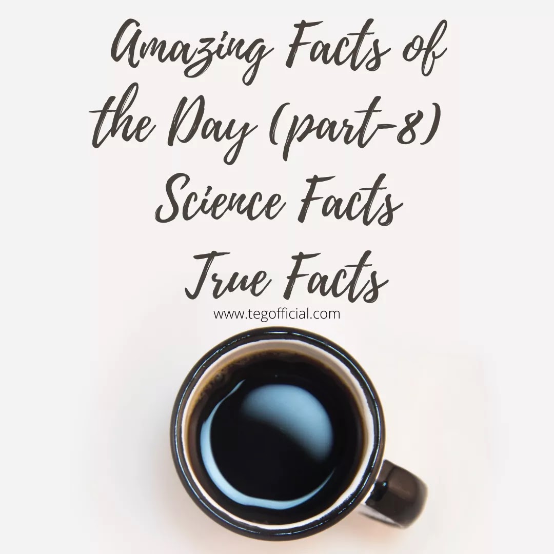Amazing Facts of the Day (part8) Science Facts True Facts