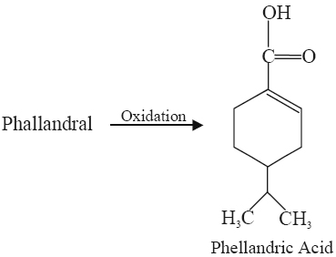 phellandric acid