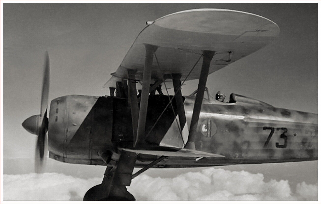 фиат cr42. 42 db. итальянский истребитель-биплан фиат cr. C r 42. истребитель фиат cr 42.