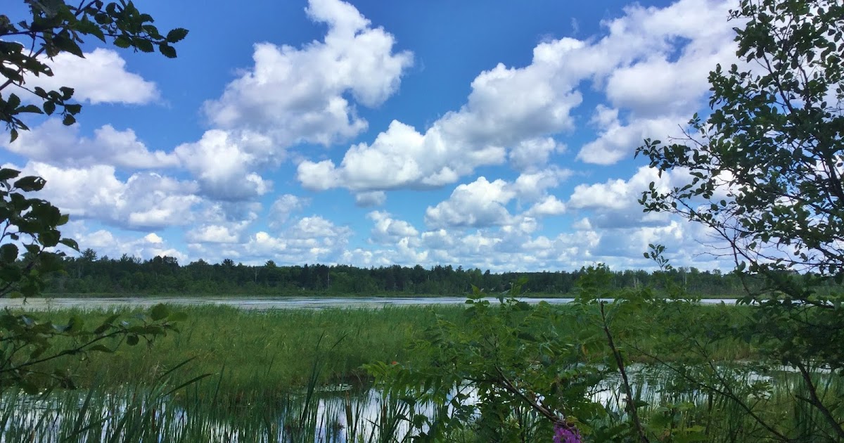 Ian's Blog Black Duck Lake, July 2020
