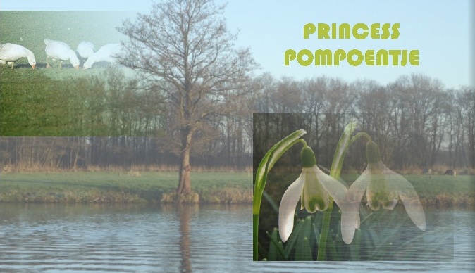 Princess Pompoentje