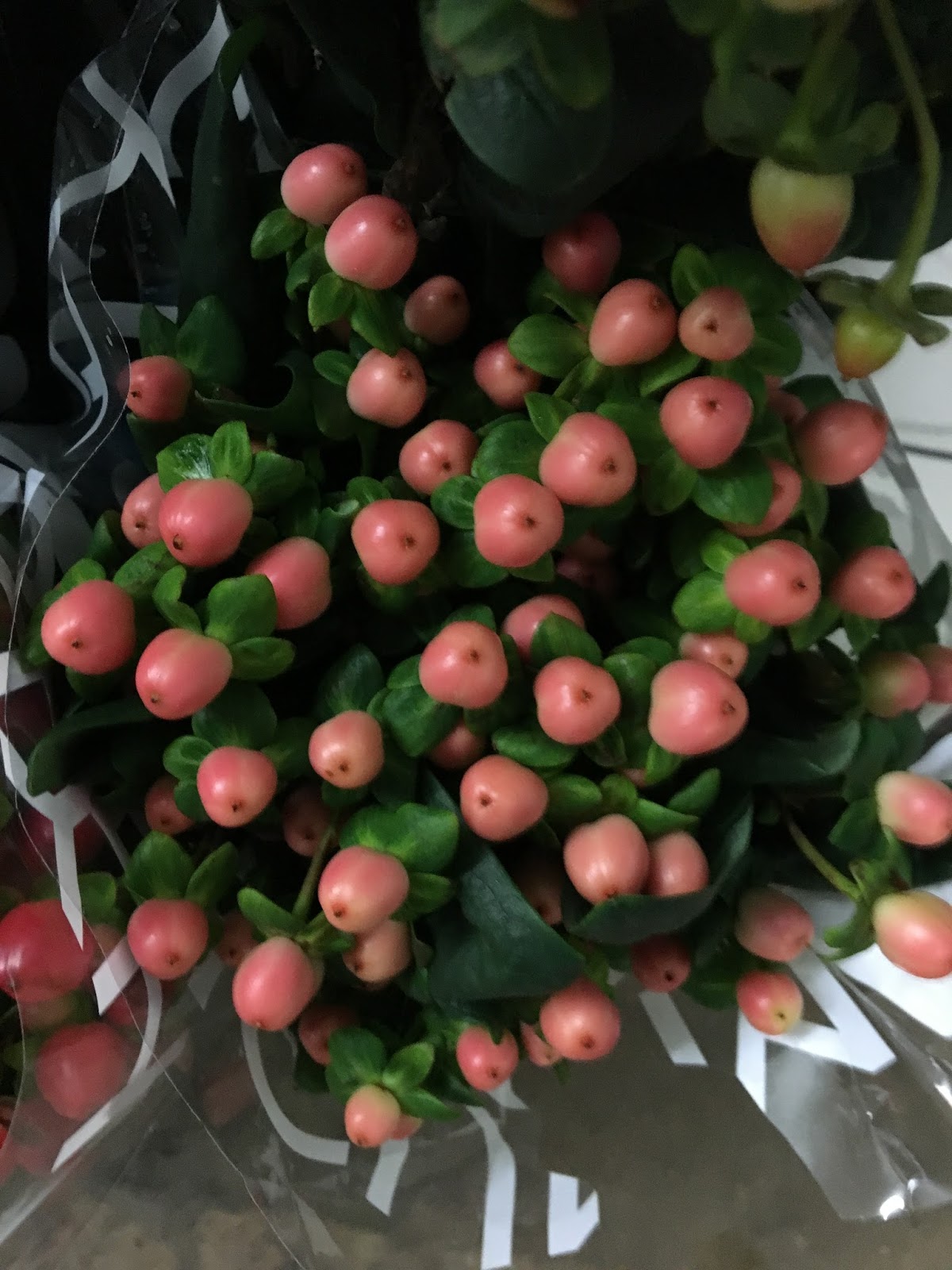 Rowan's Story Part 5 "The Flowers"