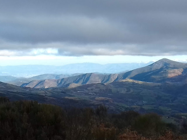 VOLVIENDO A CASA