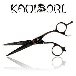 Amazing and Expensive Universe: Most Popular Hair Scissors
