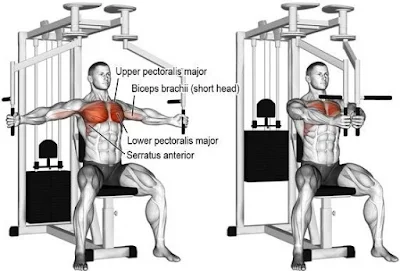 Pec Deck and Seated Chest Press