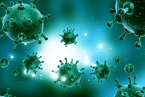 network worm virus download network worm virus download