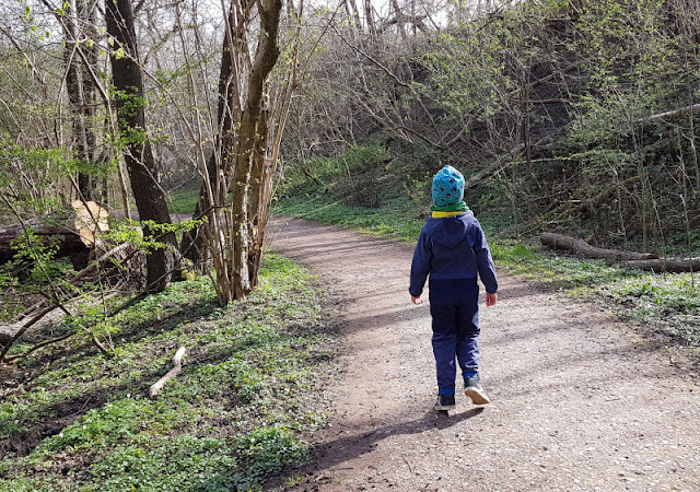 Küsten-Spaziergänge rund um Kiel, Teil 4: Entlang am Ufer der Schwentine. Die Spazierwege am Ufer laden zum Wandern und Flanieren ein.