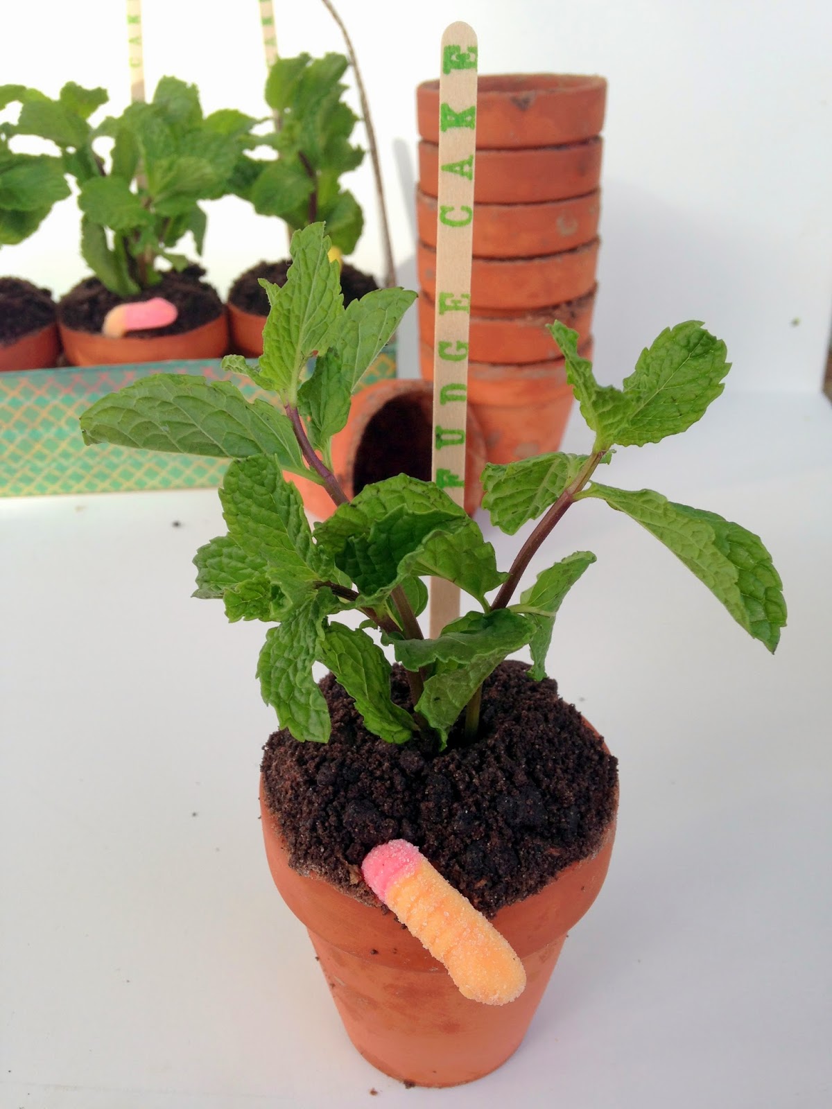 BakeIns Cupcakes Baked in Terra Cotta Flower Pots