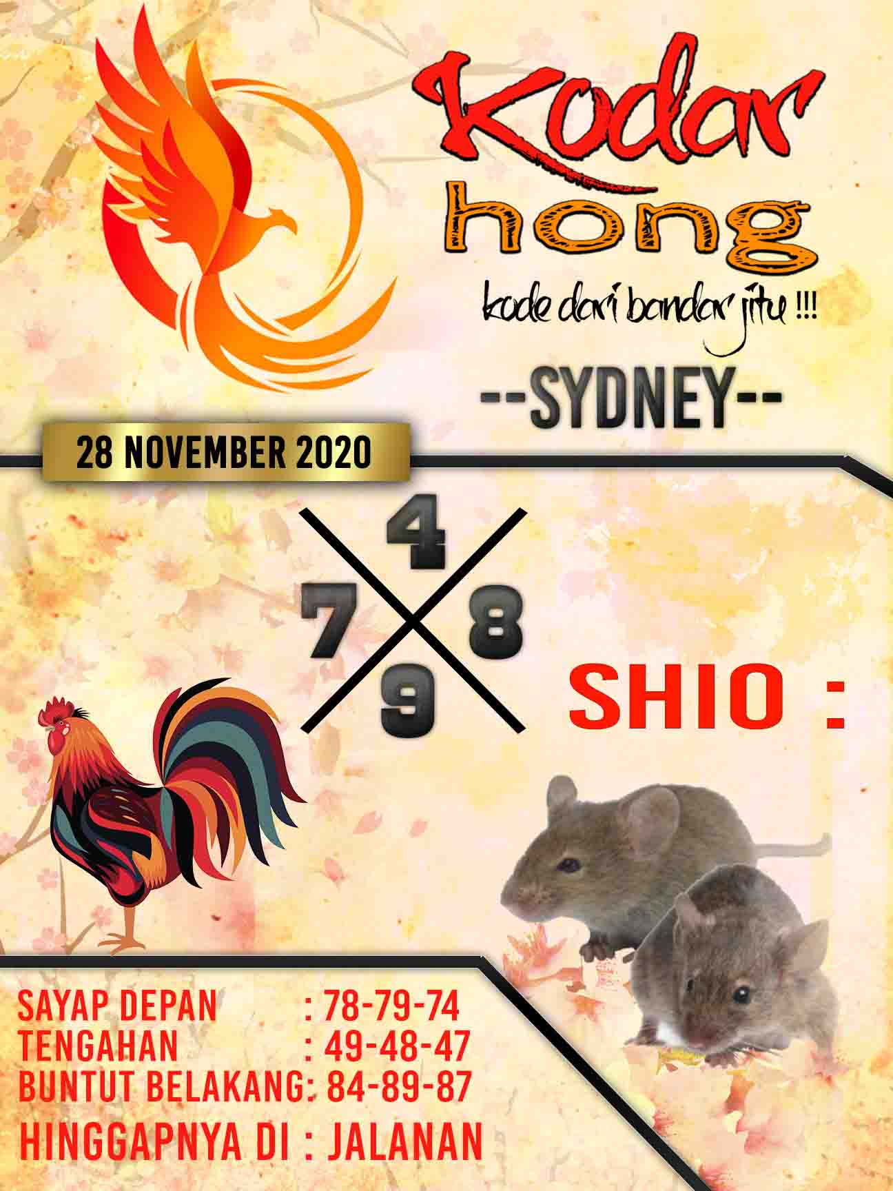 PREDIKSI SYAIR TOGEL SYDNEY HARI INI 28 NOVEMBER 2020