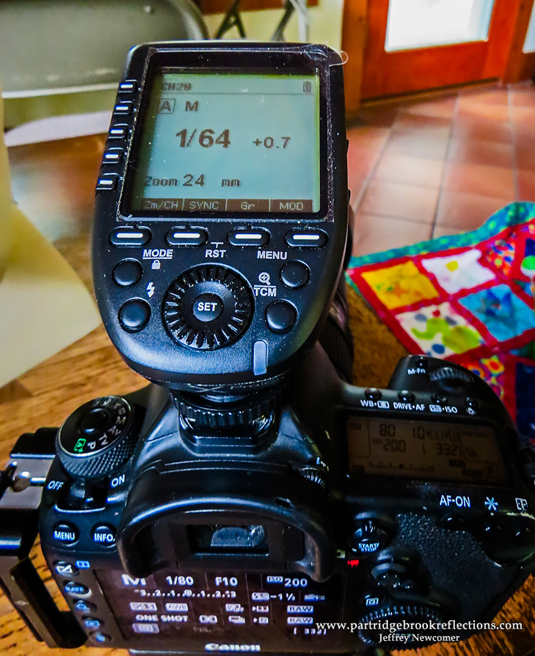 Getting it Right in the Digital Camera