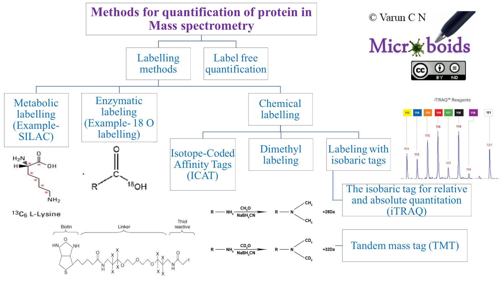 Lab series 17 Labelling methods for Quantitative Proteomics by MS