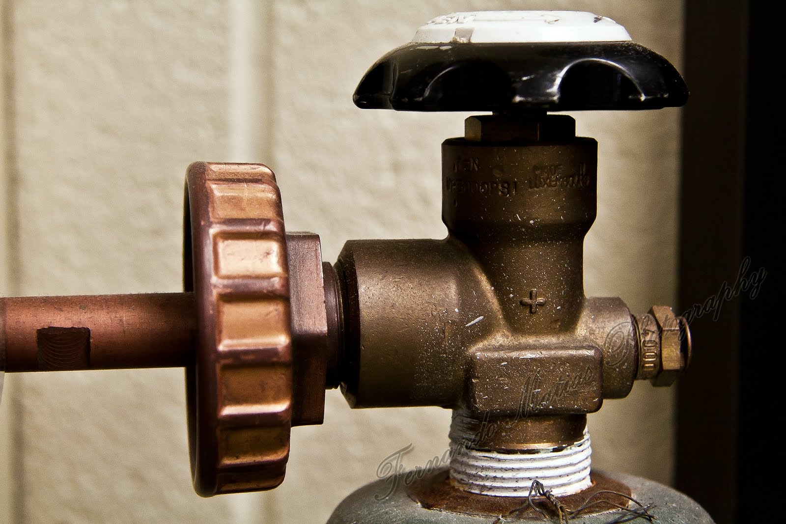 Fernando Matias Photography Ottawa Ontario Ottawa Wedding