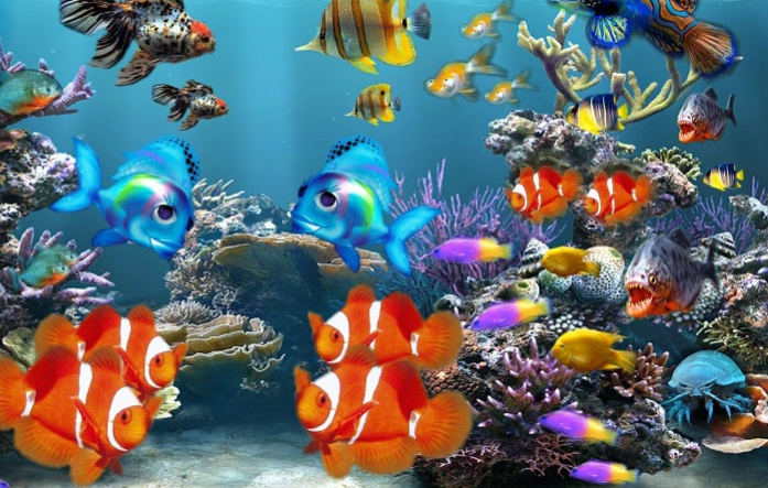 Jenis-jenis ikan hias yang laku di pasaran