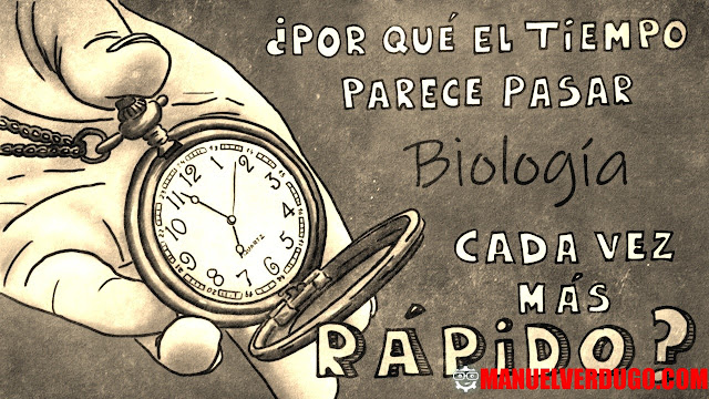 ¿Por qué el tiempo parece lento cuando uno quiere que vaya más rápido?