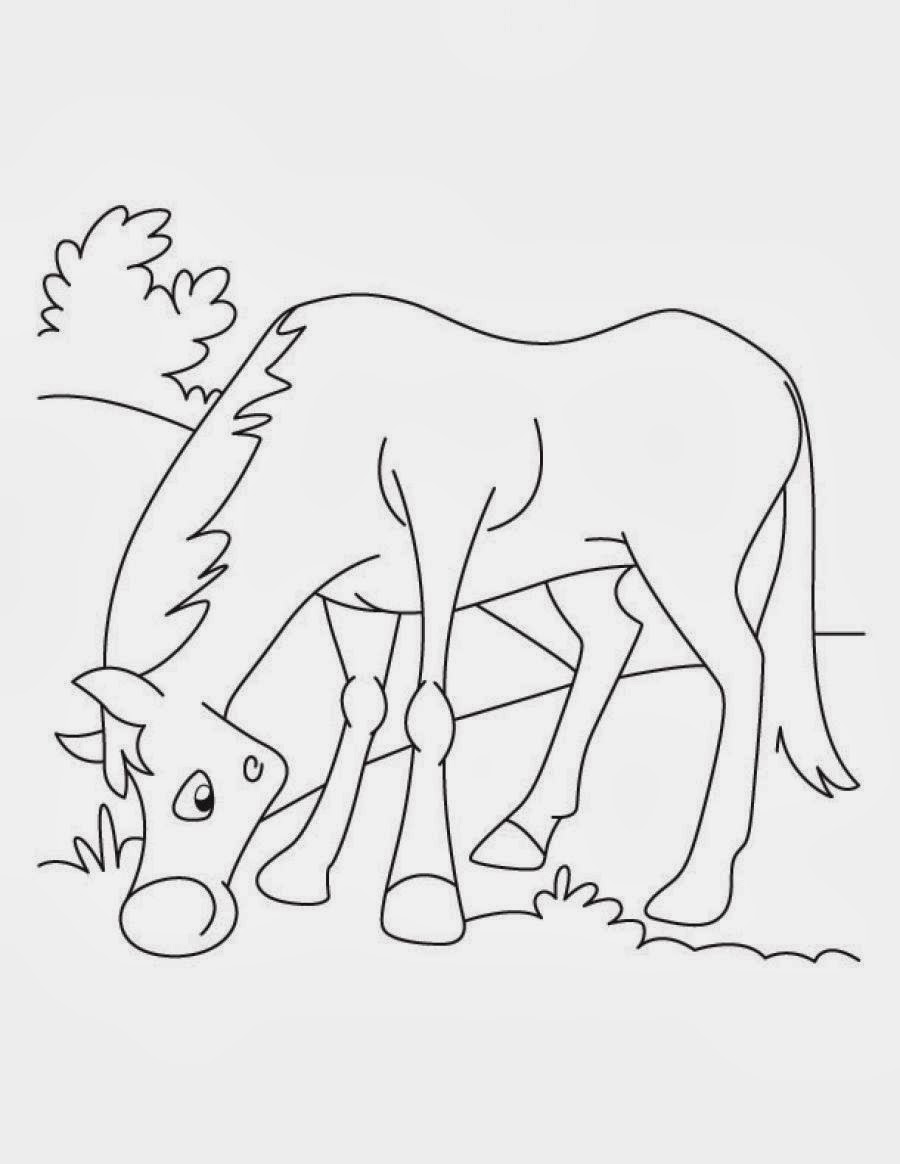 Cimarron Spirit Horse Coloring Pages : Stalion of the cimarron and