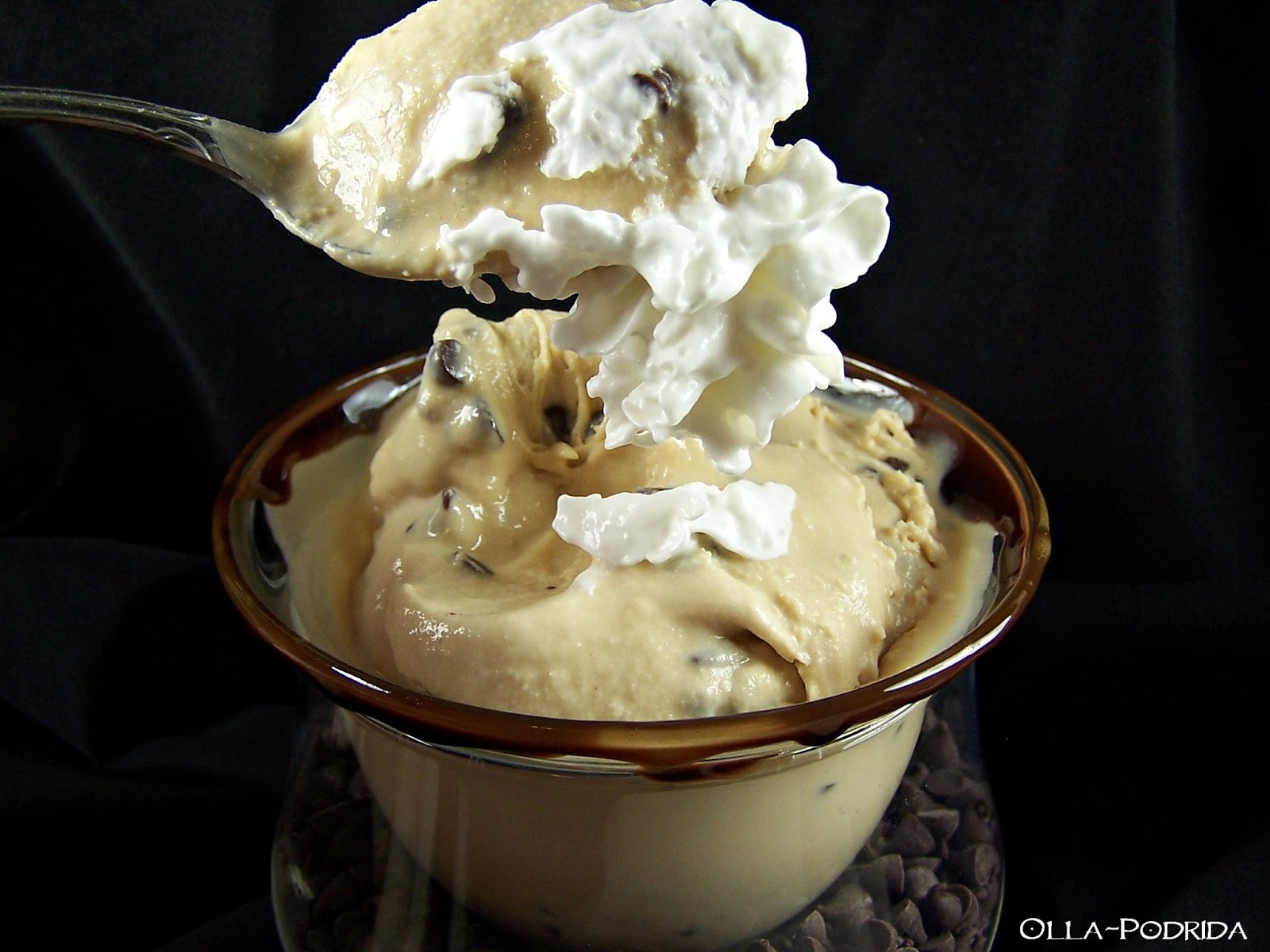 OllaPodrida Mocha Chip Ice Cream