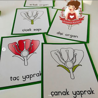 Çocukla Çocuk Olun