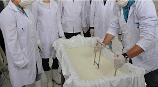 Süt ve Ürünleri Teknolojisi Bölümü Avantajları ve İş Olanakları