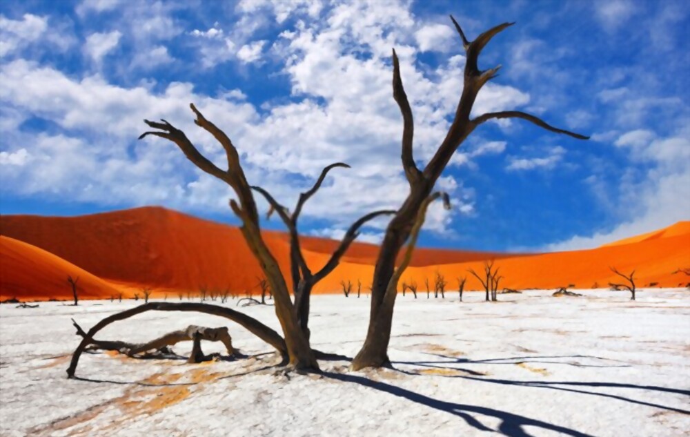 The Trees of Dead Vlei: most amazing trees