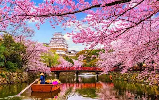 Best Cherry Blossoms destination in Asia