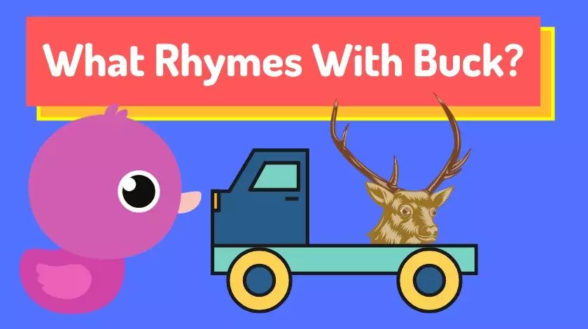 Words That Rhyme With Buck
