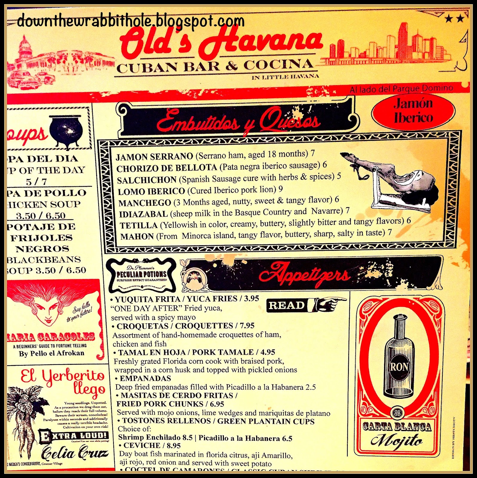 Down the Wrabbit Hole The Travel Bucket List Explore Miami's "Little