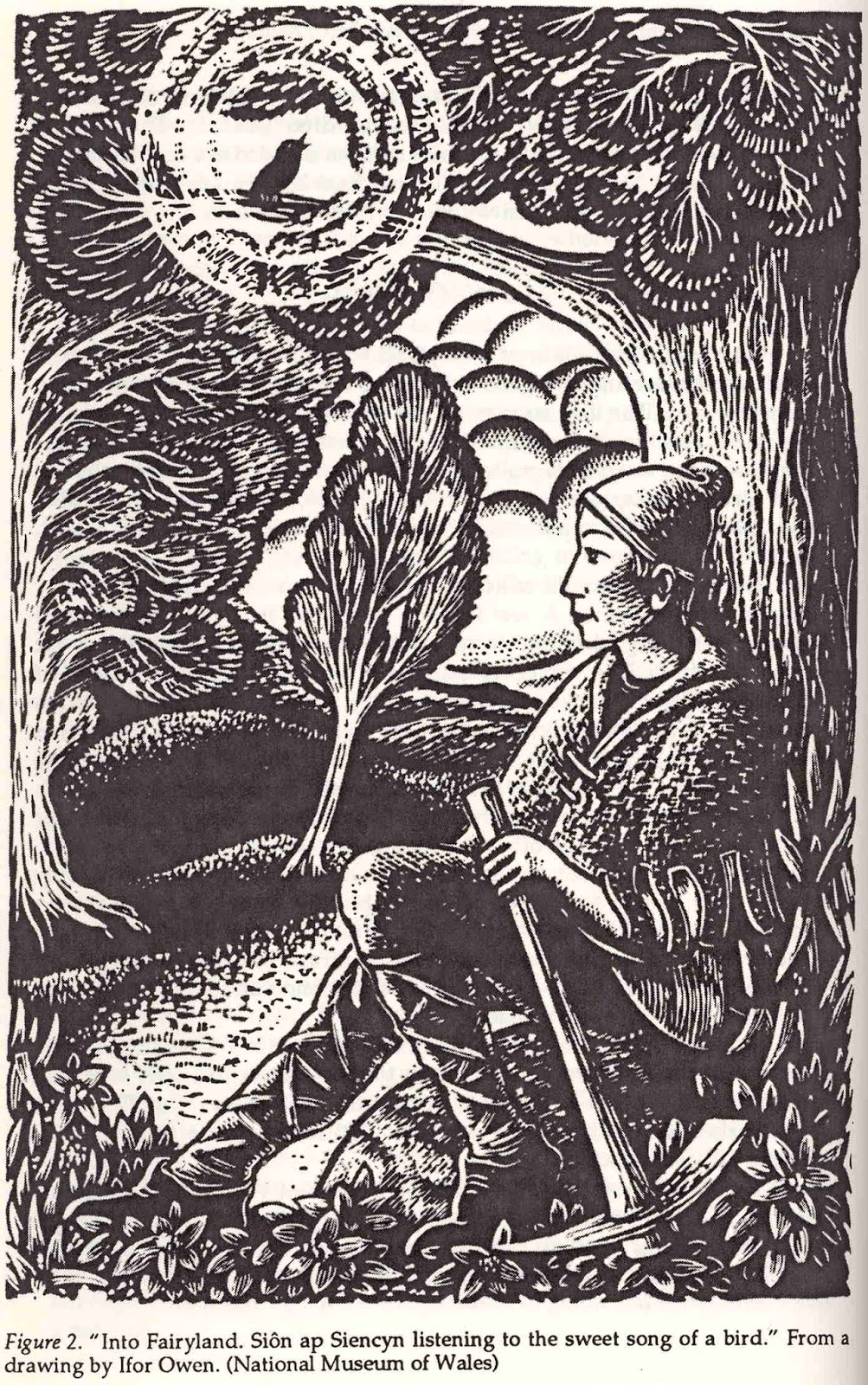 Essay fairylore new image