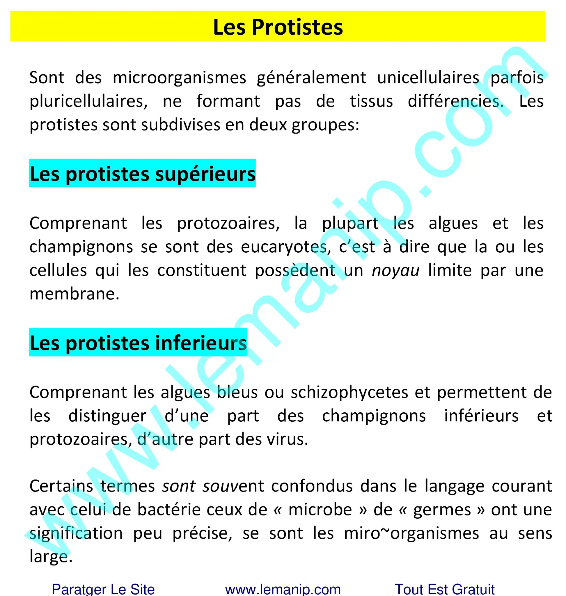 Les Protistes