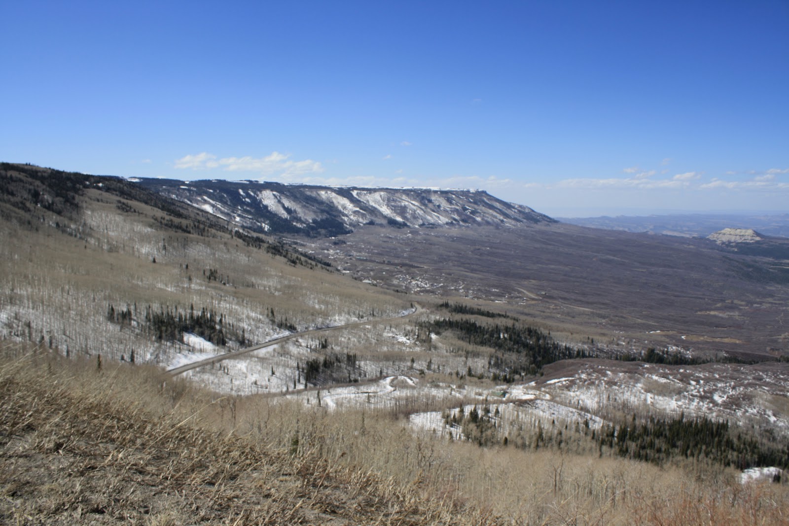 Fact of the Drive Cactused Grand Junction, CO
