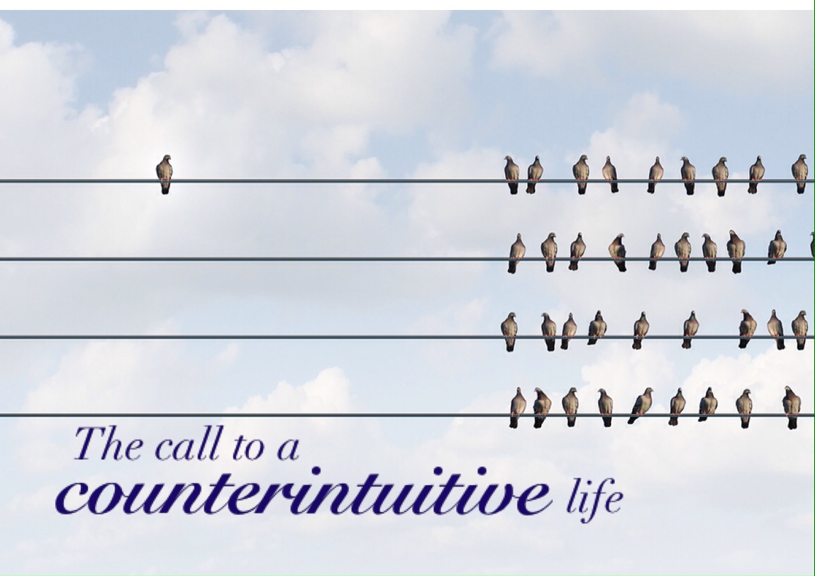 BiblioBeth Revisited The call to a counterintuitive life in our century