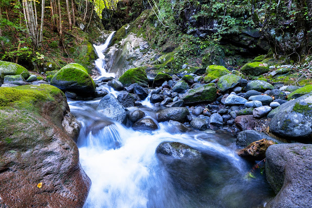 #photo #landscape #sigma #foveon #sdquattroh #japan #yamagata #yuza #山形県 #遊佐町 #山形帝國 #写真 #風景写真