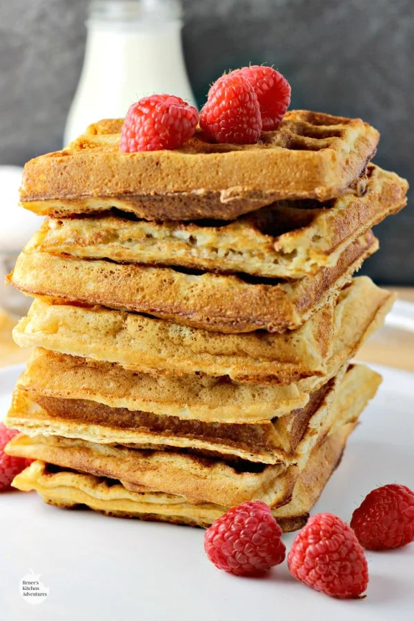Fluffy Whole Wheat Waffles | Renee's Kitchen Adventures