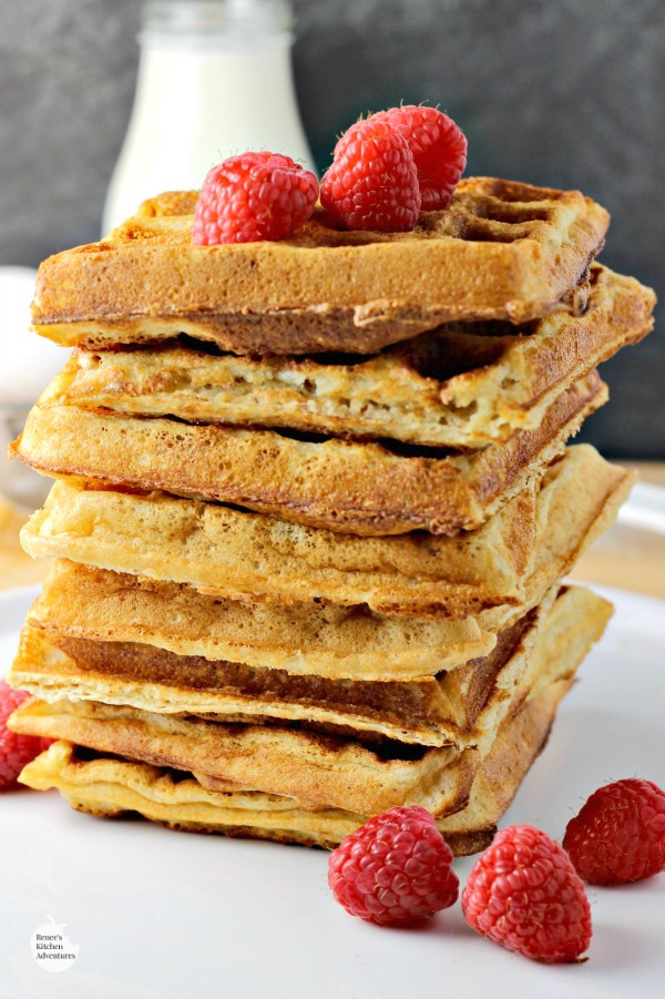 Fluffy Whole Wheat Waffles | by Renee's Kitchen Adventures - recipe for homemade whole grain buttermilk waffles that cook up light and fluffy! #RKArecipes