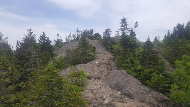 Tout près du sommet du Pic de l'Ours