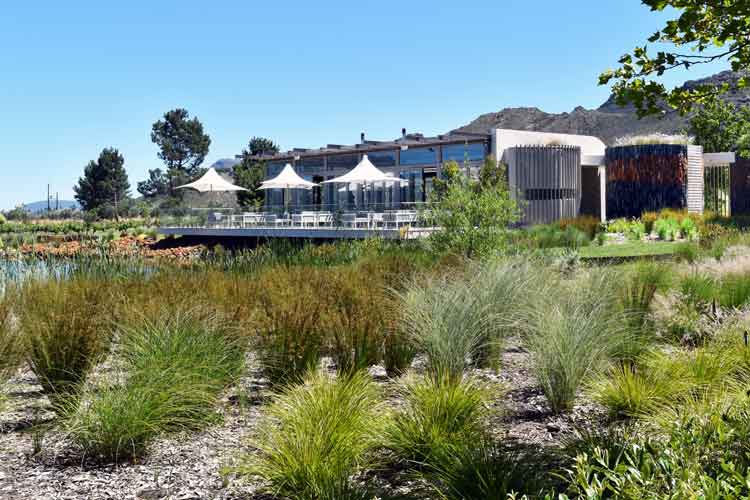 Paserene Wine Farm 2025