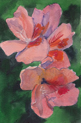 geranium watercolor painting bunny artwork arches lb inches paper